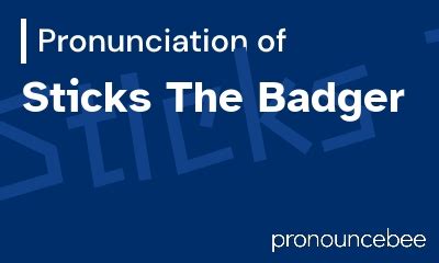 how to pronounce badger