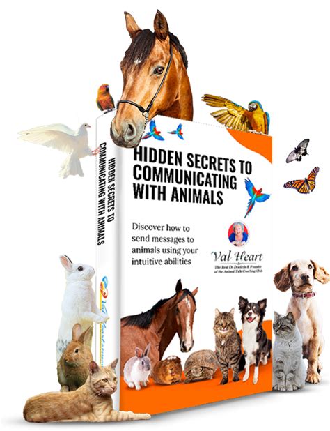 Animal Talk Blog Learn How To Talk To Animals