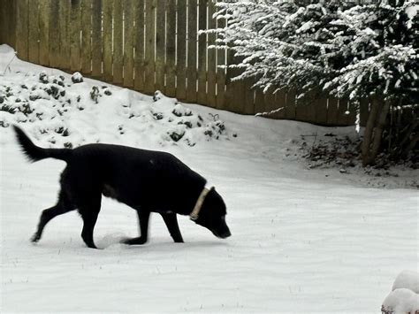 Delaware snow forecast: Wilmington under winter storm warning