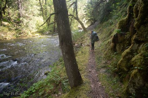 Paleo Traileo: North Umpqua River Trail with True Primal Paleo Soups!