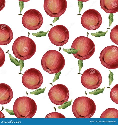 Watercolor Apples Seamless Pattern Stock Illustration Illustration Of