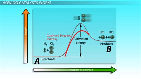 Effect of Catalysts on Rates of Reaction - Lesson | Study.com