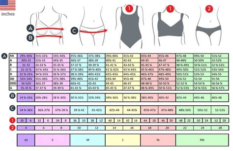 Find Your Bra Size Calculator Neil Walsh