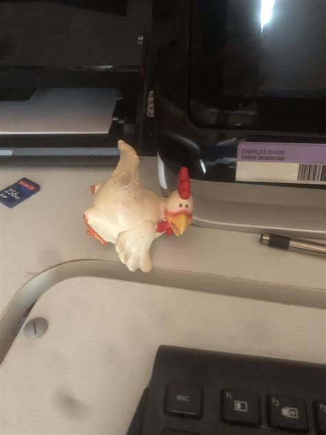 Cursed Chicken Rcursedimages