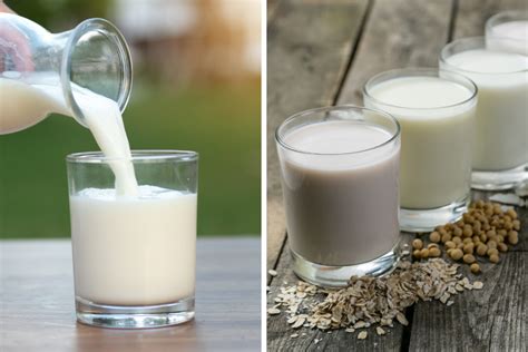 Plant Based Milk Vs Cow Milk Nutritional Comparison New England Dairy