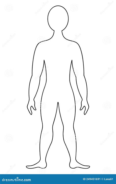 Male Body Outline Drawing