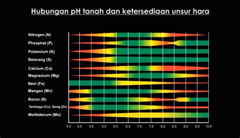 Hubungan Ph Tanah Dan Ketersediaan Unsur Hara Kampustani