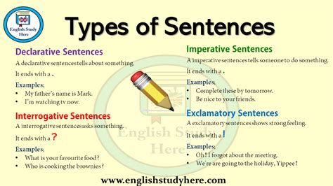 What Are 10 Examples Of Sentences