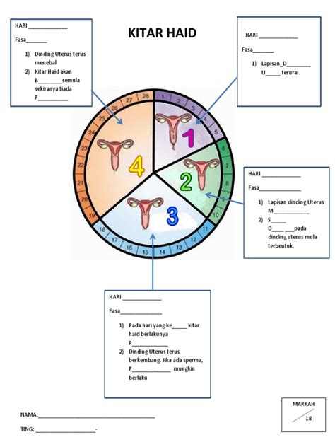 Nota Catatan Kerja Kitaran Haid Pdf