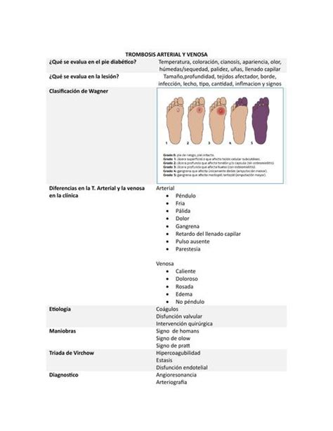 Trombosis Arterial y Venosa XenónXen uDocz