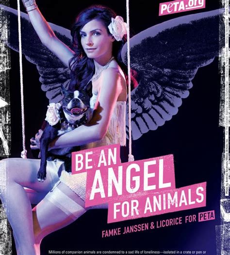 The Ad Collector A K A Add Shots Peta Sex Sells Ecology