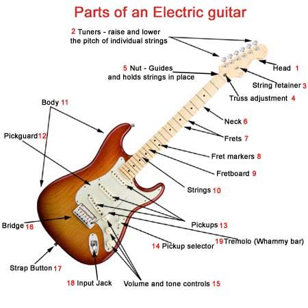 Inside Electric Guitar Diagram