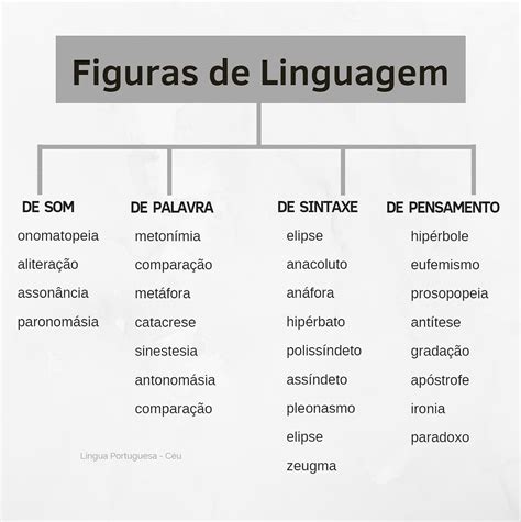 Qual Figura De Linguagem Consiste Em Exagerar Uma Ideia