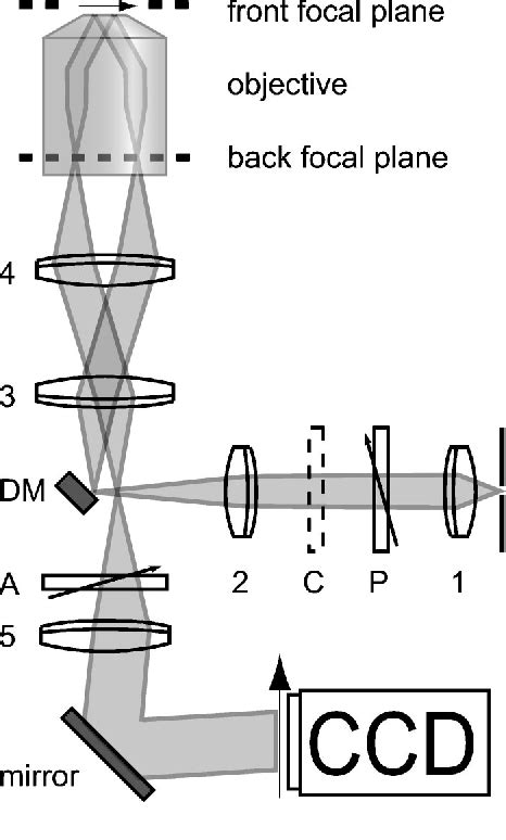 Figure From Quantitative Ellipsometric Microscopy At The Siliconair