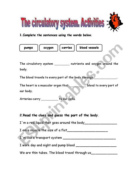 Circulatory System Lesson Plan For 5th Grade