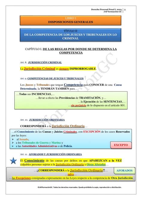 Tema 9A Derecho Procesal Penal I JAP Formación GC