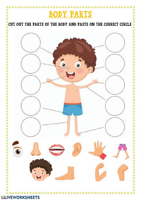 Free Printable Worksheets Kindergarten Body Parts | Lyana Worksheets