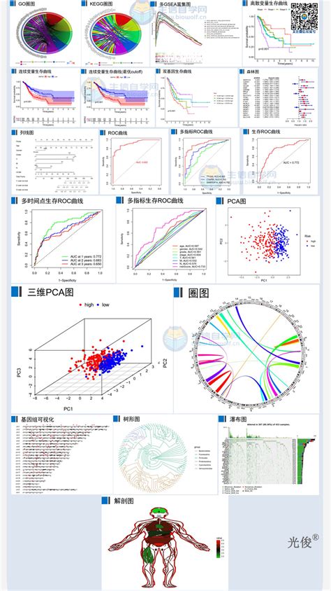 生物信息学R语言图形汇总 50个生信图视频 脚本 生信自学网