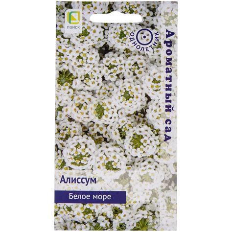 Алиссум Агрохолдинг ПОИСК Белое море 0,3гр 712453 - выгодная цена ...