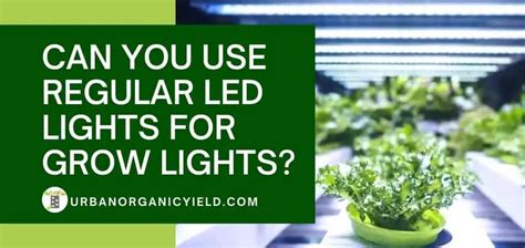 15 Easy Yet Inexpensive Diy Led Grow Light Ideas For Indoor Growing