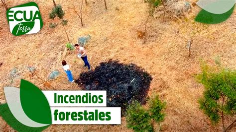 Consecuencias De Los Incendios Forestales En Ecuador Ecuaterra