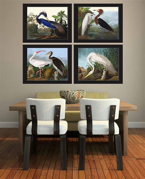 Audubon Bird Art Print Set of 4 Prints Beautiful Antique White - Etsy