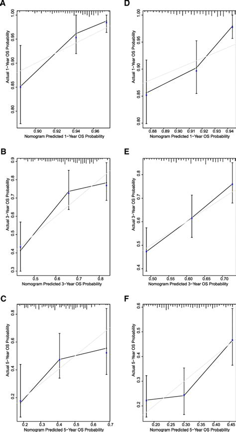 Calibration Plots Of The Nnmt Related Nomogram To Predict Os A C