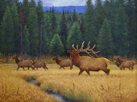 Elk At Norris Meadows Original Wildlife Oil Painting Of Elk In A