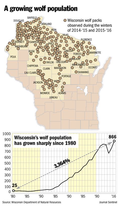 WI: Study says Wisconsin DNR underreports gray wolf poaching | Timber ...