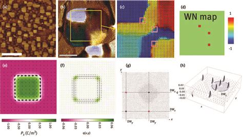 Topological Topological Domain Structures In Multiferroics A