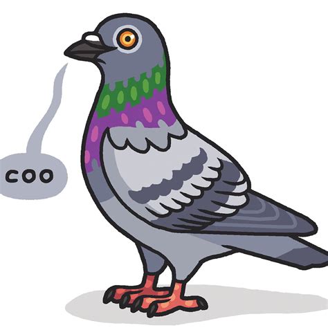 Pigeon Clipart Images The Graphics Fairy Clip Art Library