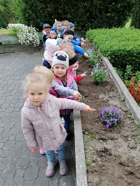 Wi To Polskiej Niezapominajki Przedszkole Samorz Dowe Nr Im