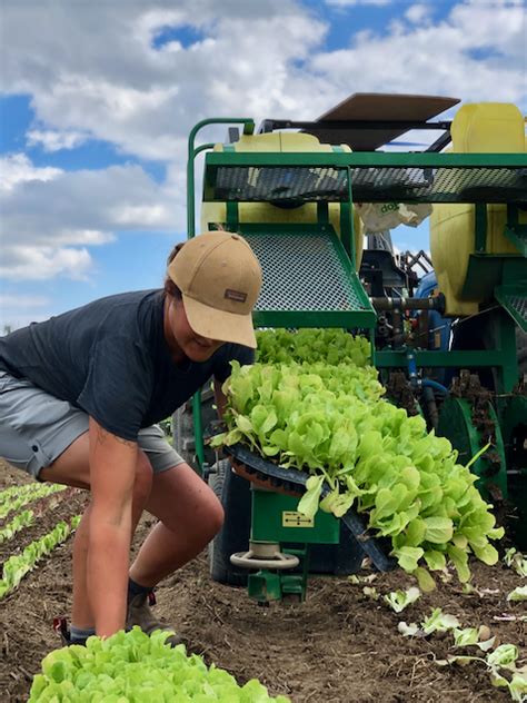 Farm Job Markham On Joyfully Organic Farm Farm Staff