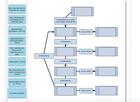 Solved Complete The Concept Map To Explain How Action Chegg