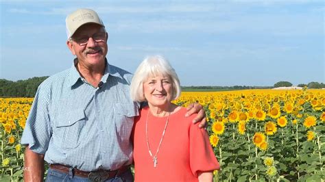 Farmer Surprises Wife With Sunflower Field Anniversary Gift Good