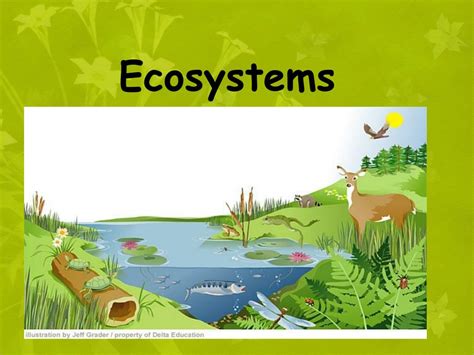 Ppt Ecosystems Powerpoint Presentation Free Download Id 1824648