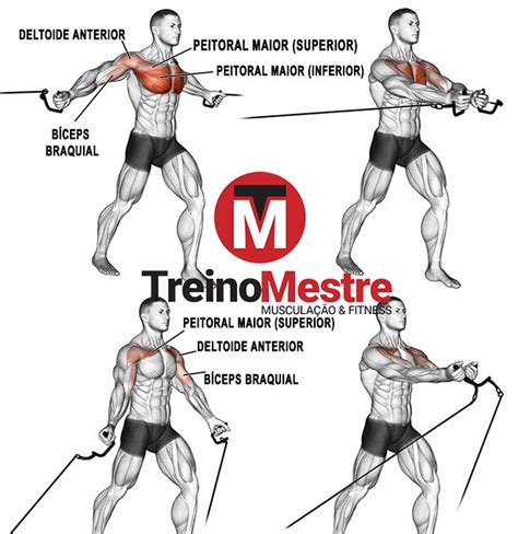 Peitoral Superior Exerc Cios E Dicas Para Desenvolver Treino Mestre