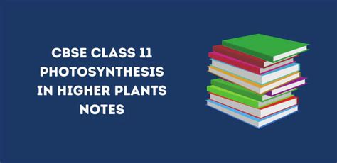 Updated CBSE Class 11 Photosynthesis In Higher Plants Notes Chapter