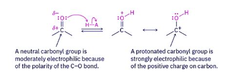 Nucleophilic Addition Of Alcohols Acetal Formation Chemistry