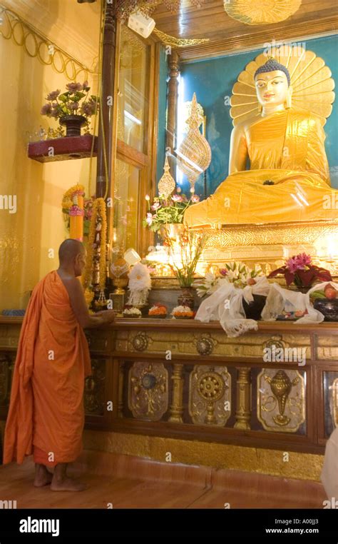 Theravada buddhist monk in yellow robes praying inside Mahabodhi Mahavihara temple place of ...