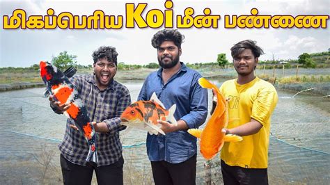 🐟மிக பெரிய Koi மீன் பண்ணை🎏 Biggest Fish Farm In Chennai Hr Aquarium