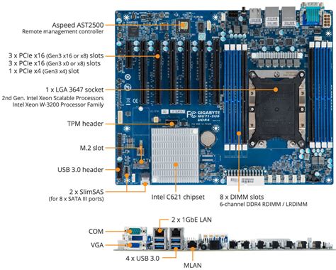 Gigabyte Mu Su Intel Xeon W Nvidia