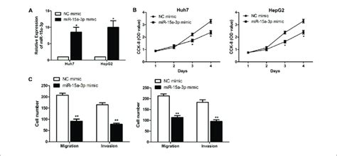 Overexpression Of MiRNA 15a 3p Inhibited Proliferative And Metastatic