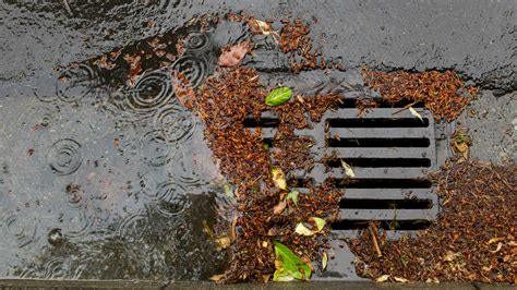 Adopt A Drain App Turns Residents Into Environmental Stewards Spring