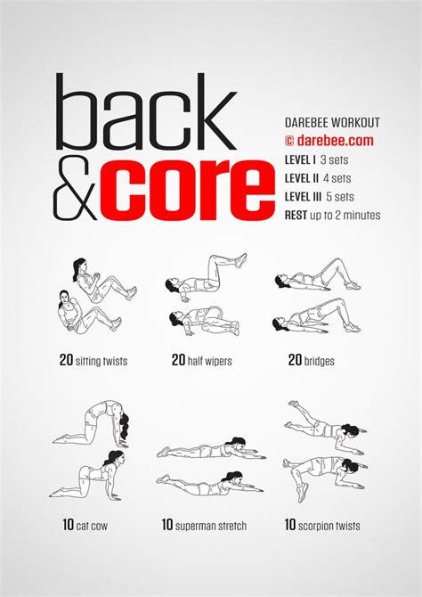 Printable Core Exercises For Beginners