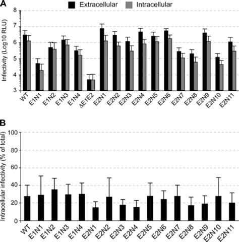 Effect Of N Glycosylation Site Mutations On HCVcc Secretion A Huh 7