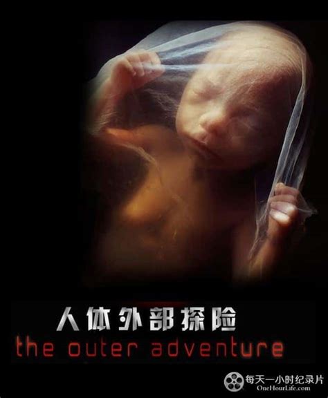 纪录片《人体外部探险 The Outer Adventure》全集 高清完整版网盘迅雷下载 探索频道纪录片 纪录片资源库 高清纪录片