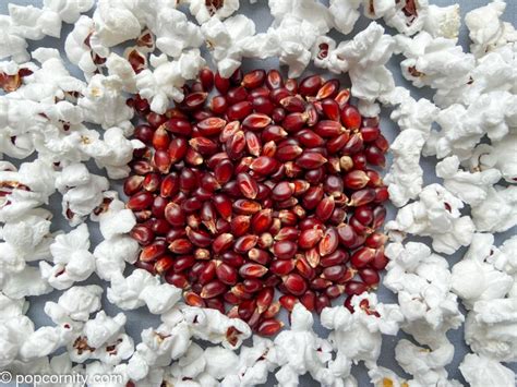 What Is Red Popcorn? Here's Everything You Need to Know | Popcornity