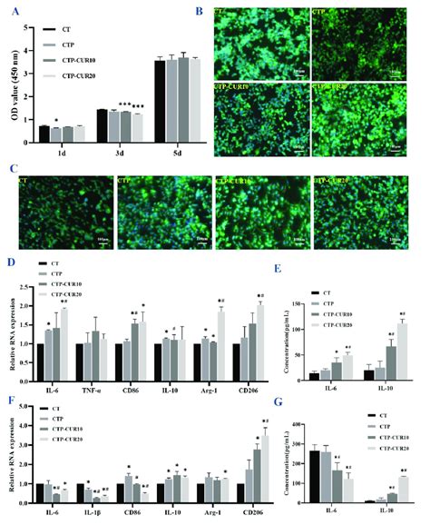 Inflammatory And Anti Inflammatory Response Of Raw 2647 On Cur