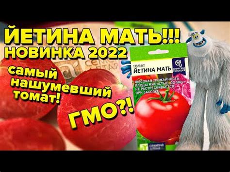 ЙЕТИНА МАТЬ! ТОМАТ ДЛЯ ОТКРЫТОГО ГРУНТА БЕЗ ФОРМИРОВКИ И ПАСЫНКОВАНИЯ ...